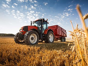  Primary rock dust as fertiliser