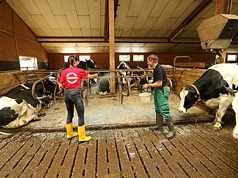 Positiv for hygiene in the barn